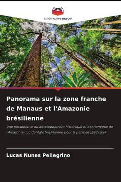 Panorama sur la zone franche de Manaus et l’Amazonie brésilienne