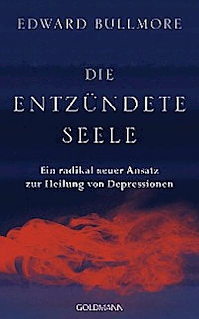 Die entzündete Seele