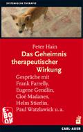 Das Geheimnis therapeutischer Wirkung