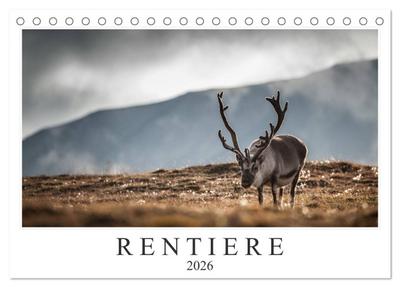 Rentiere (Tischkalender 2026 DIN A5 quer), CALVENDO Monatskalender