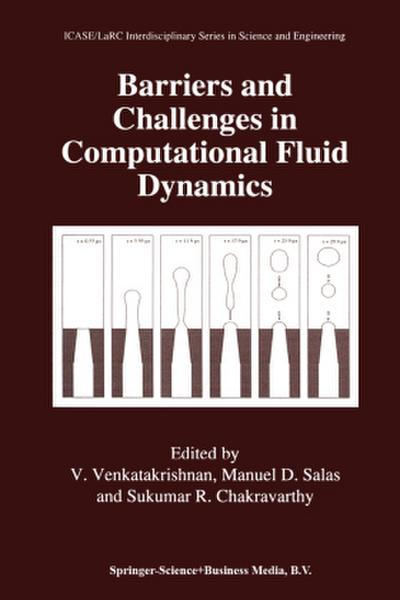 Barriers and Challenges in Computational Fluid Dynamics