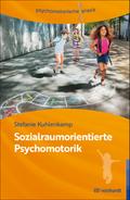 Sozialraumorientierte Psychomotorik