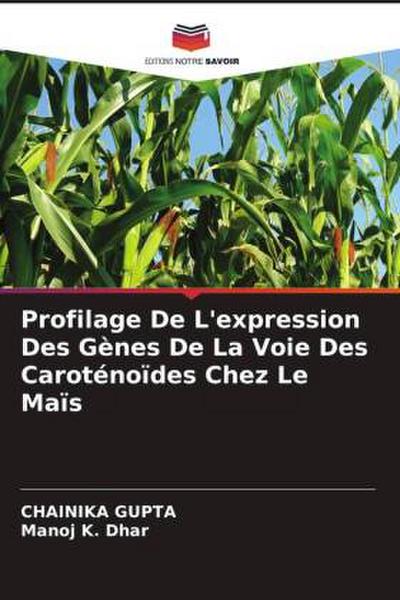 Profilage De L’expression Des Gènes De La Voie Des Caroténoïdes Chez Le Maïs