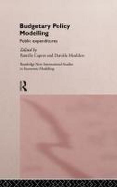Budgetary Policy Modelling