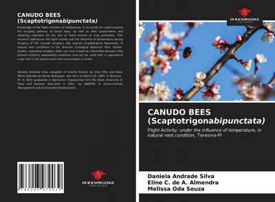 CANUDO BEES (Scaptotrigonabipunctata)