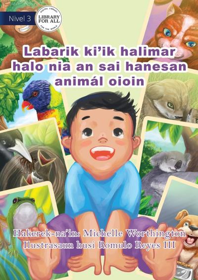 Animal Baby (Tetun edition) / Labarik ki’ik halimar halo nia an sai hanesan animál oioin