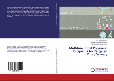 Multifunctional Polymeric Excipients for Targeted Drug Delivery