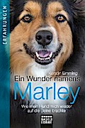 Ein Wunder namens Marley