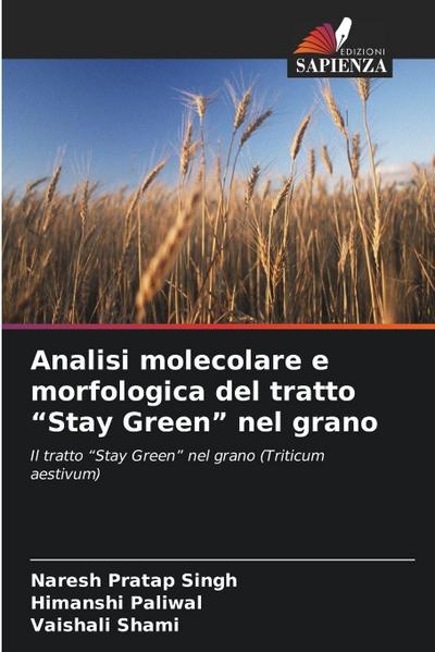 Analisi molecolare e morfologica del tratto "Stay Green" nel grano