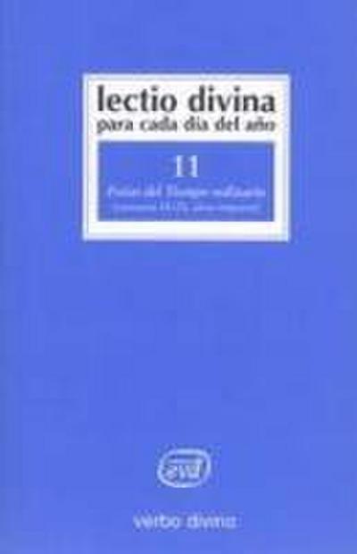 Ferias del tiempo ordinario (semanas 18-25 años impares)