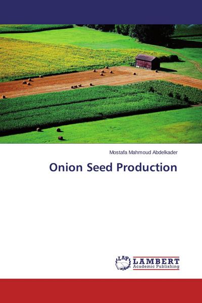 Onion Seed Production