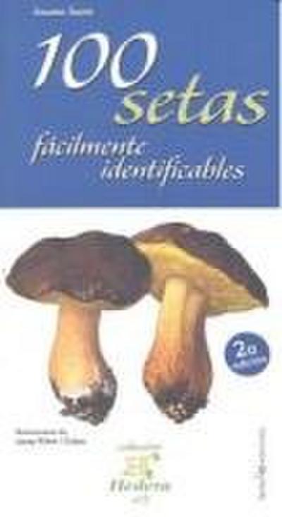 100 setas fácilmente identificables