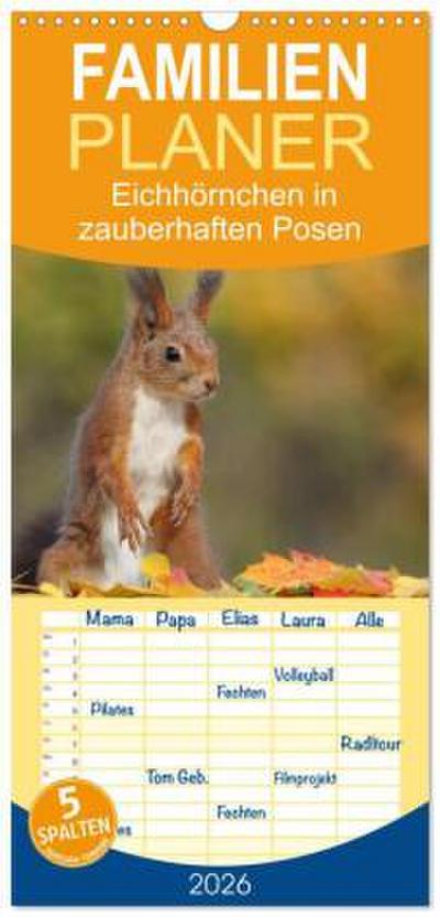 Familienplaner 2026 - Eichhörnchen in zauberhaften Posen mit 5 Spalten (Wandkalender, 21 x 45 cm) CALVENDO