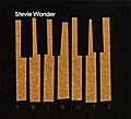 Stevie Wonder Tribute