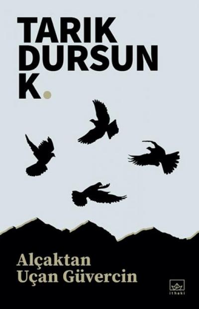 Alcaktan Ucan Güvercin