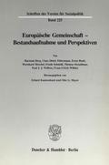 Europäische Gemeinschaft - Bestandsaufnahme und Pe
