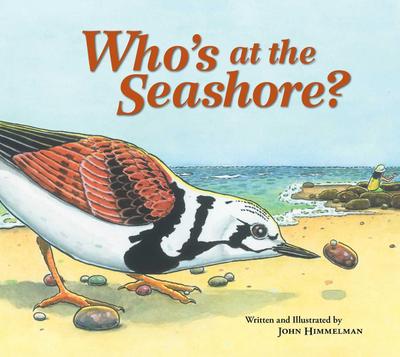 Who’s at the Seashore?
