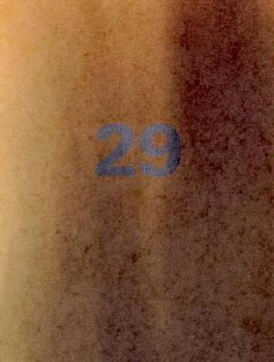 Perspecta 29 "into the Fire": The Yale Architectural Journal