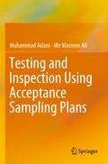 Testing and Inspection Using Acceptance Sampling Plans