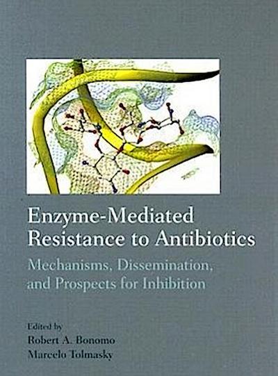 Enzyme-Mediated Resitance to Antibiotics