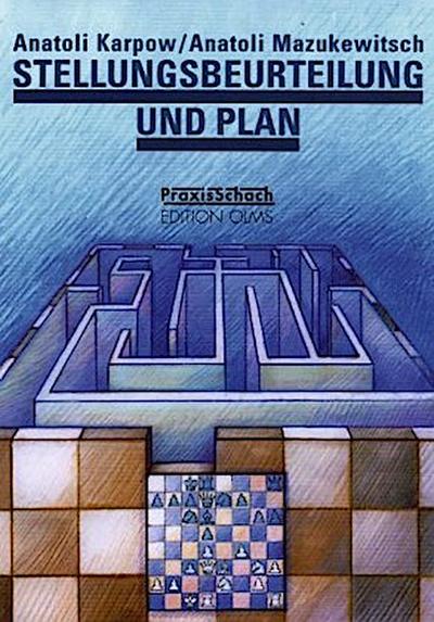 Stellungsbeurteilung und Plan