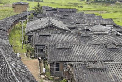 Chinese Vernacular. The Weiwu at Dafuzhen