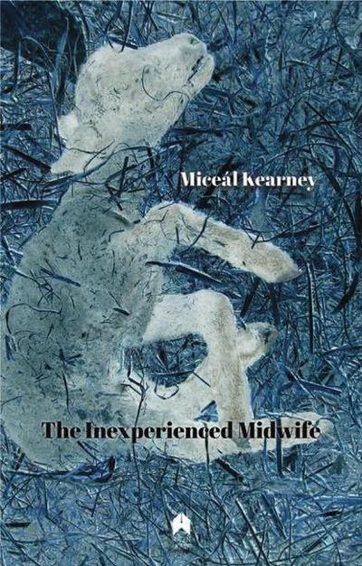 The Inexperienced Midwife