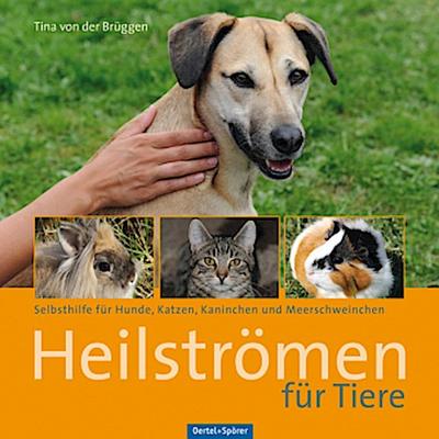 Heilströmen für Tiere