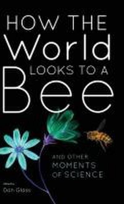 How the World Looks to a Bee