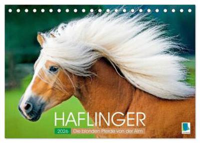 Haflinger: Die blonden Pferde von der Alm (Tischkalender 2026 DIN A5 quer), CALVENDO Monatskalender