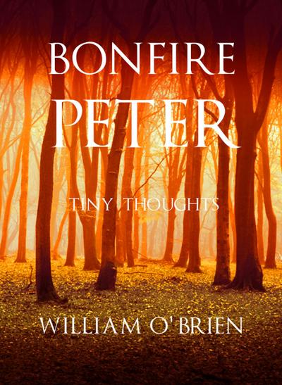 Bonfire Peter (Peter: A Darkened Fairytale, #13)
