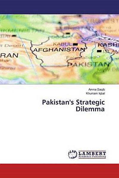 Pakistan’s Strategic Dilemma