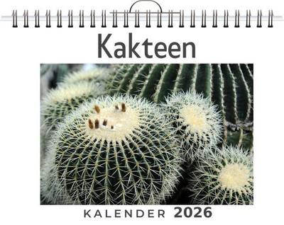 Kakteen