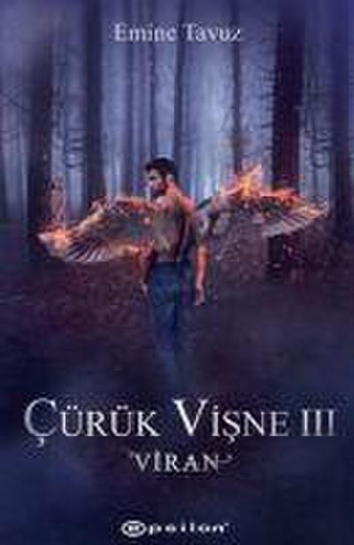Cürük Visne 3 - Viran