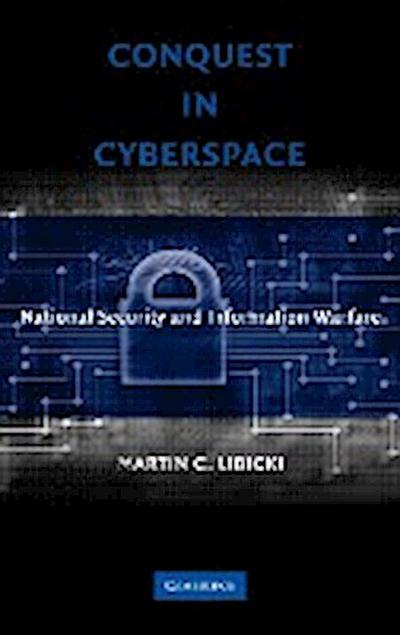 Conquest in Cyberspace