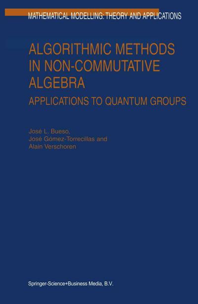 Algorithmic Methods in Non-Commutative Algebra