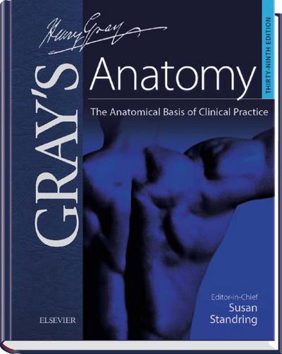 Gray’s Anatomy