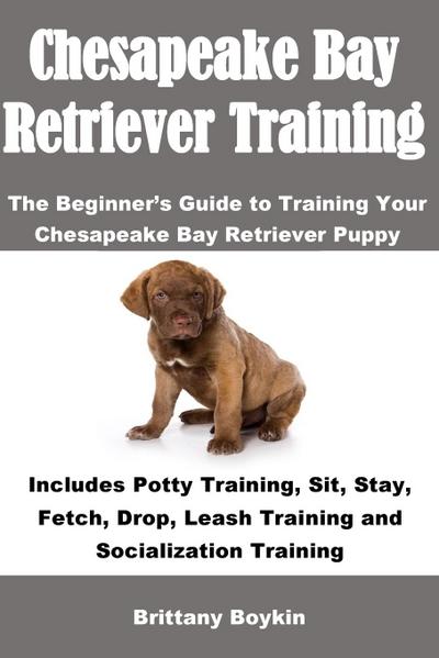 Chesapeake Bay Retriever Training