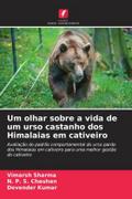 Um olhar sobre a vida de um urso castanho dos Himalaias em cativeiro