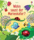 Wohin saust der Marienkäfer?