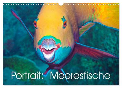 Portrait: Meeresfische (Wandkalender 2026 DIN A3 quer), CALVENDO Monatskalender