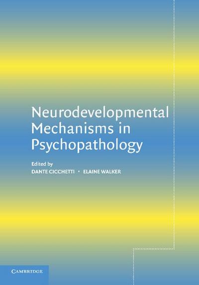 Neurodevelopmental Mechanisms in             Psychopathology