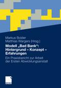 Modell Bad Bank: Hintergrund - Konzept - Erfahrung
