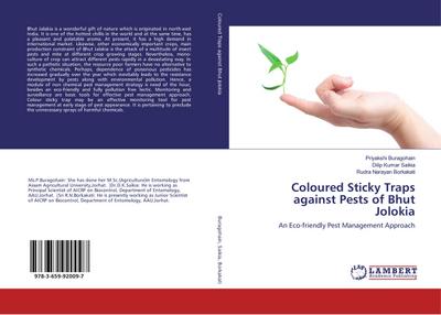 Coloured Sticky Traps against Pests of Bhut Jolokia