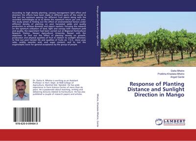 Response of Planting Distance and Sunlight Direction in Mango