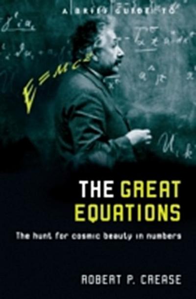 Brief Guide to the Great Equations