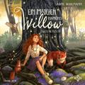 Ein Mädchen namens Willow 6: Zwischenzeit