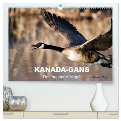 KANADA-GANS - Der ’hupende’ Vogel (hochwertiger Premium Wandkalender 2026 DIN A2 quer), Kunstdruck in Hochglanz