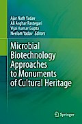 Microbial Biotechnology Approaches to Monuments of Cultural Heritage