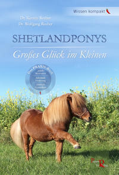 Shetlandponys